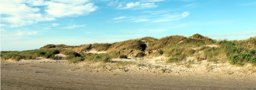 steg.jpg
